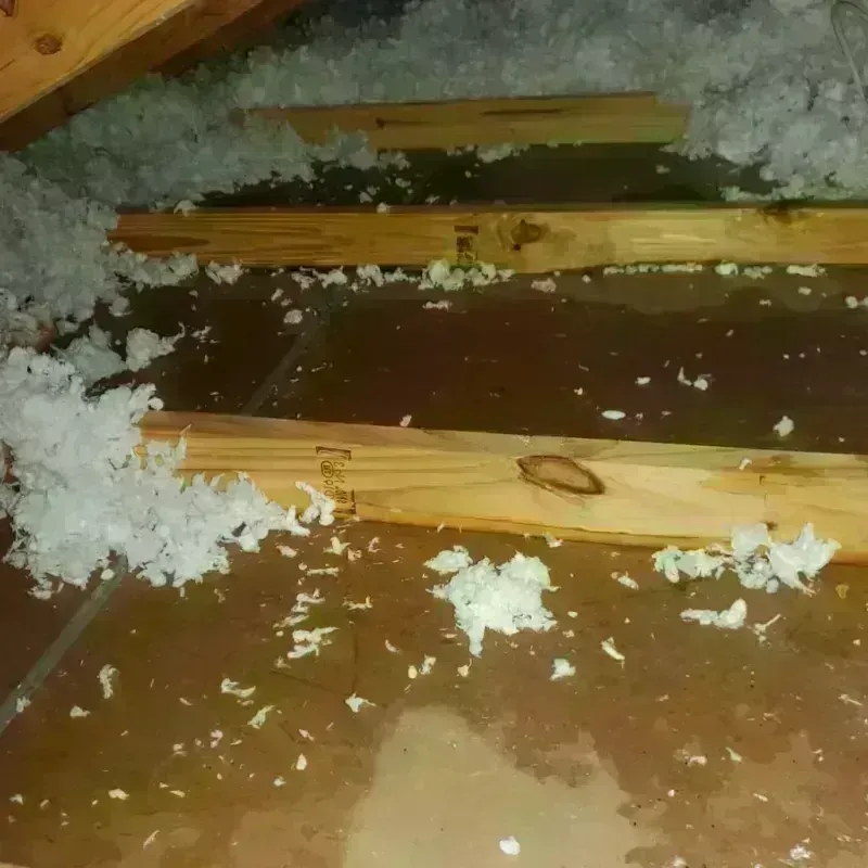 Attic Water Damage in Roebuck, SC