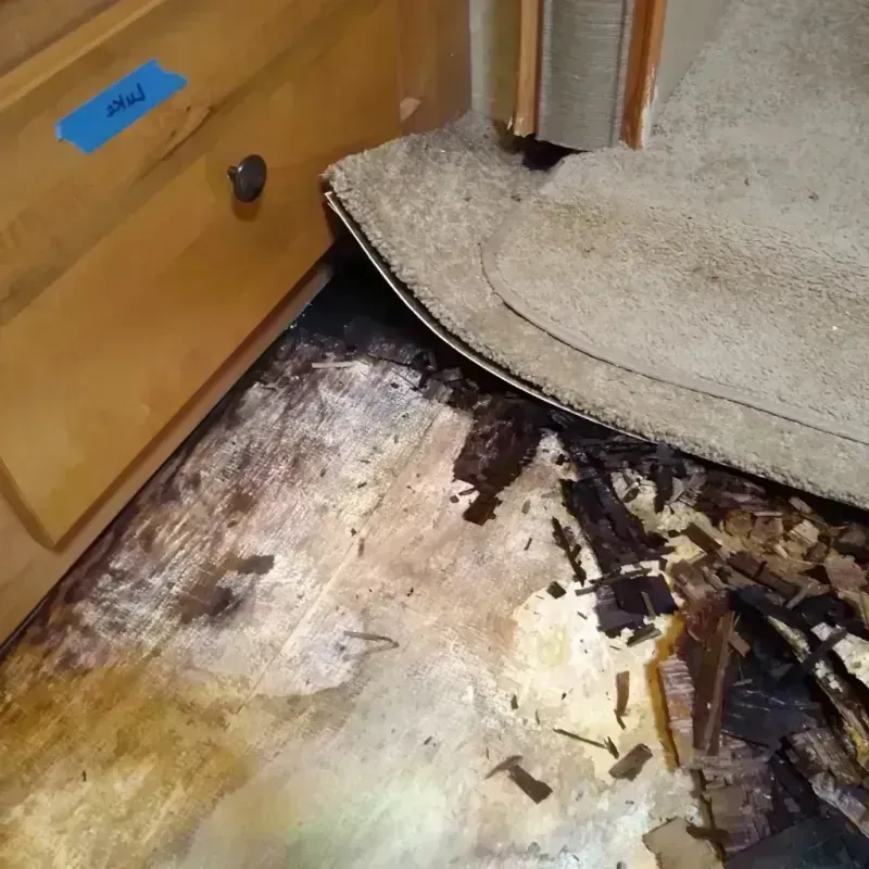 Wood Floor Water Damage in Roebuck, SC